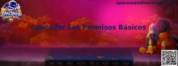 Guía para revisar y conceder los permisos básicos de Spaceman Dinero Real