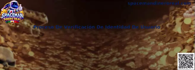 Proceso De Verificación De Identidad De Usuario en Spaceman Dinero Real