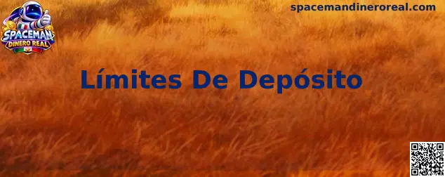 Guía sobre Límites De Depósito y control del presupuesto de juego