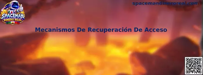 Mecanismos De Recuperación De Acceso